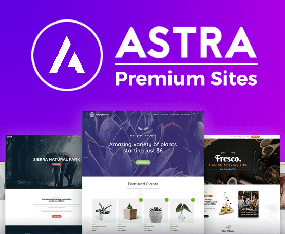 Astra Premium Sites – Ready to Import Starter Websites - Astra Premium Starter Templates v4.2.1 by Wpastra Nulled Free Download