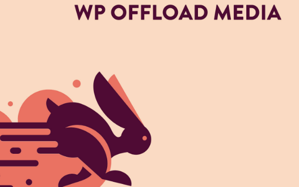 WP Offload Media Pro + Plugins Assets Pull Addon - WP Offload Media Pro + Plugins Assets Pull Addon v3.2.7 by Deliciousbrains Nulled Free Download