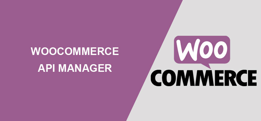 WooCommerce API Manager - WooCommerce API Manager v3.2.4 by Woocommerce Nulled Free Download