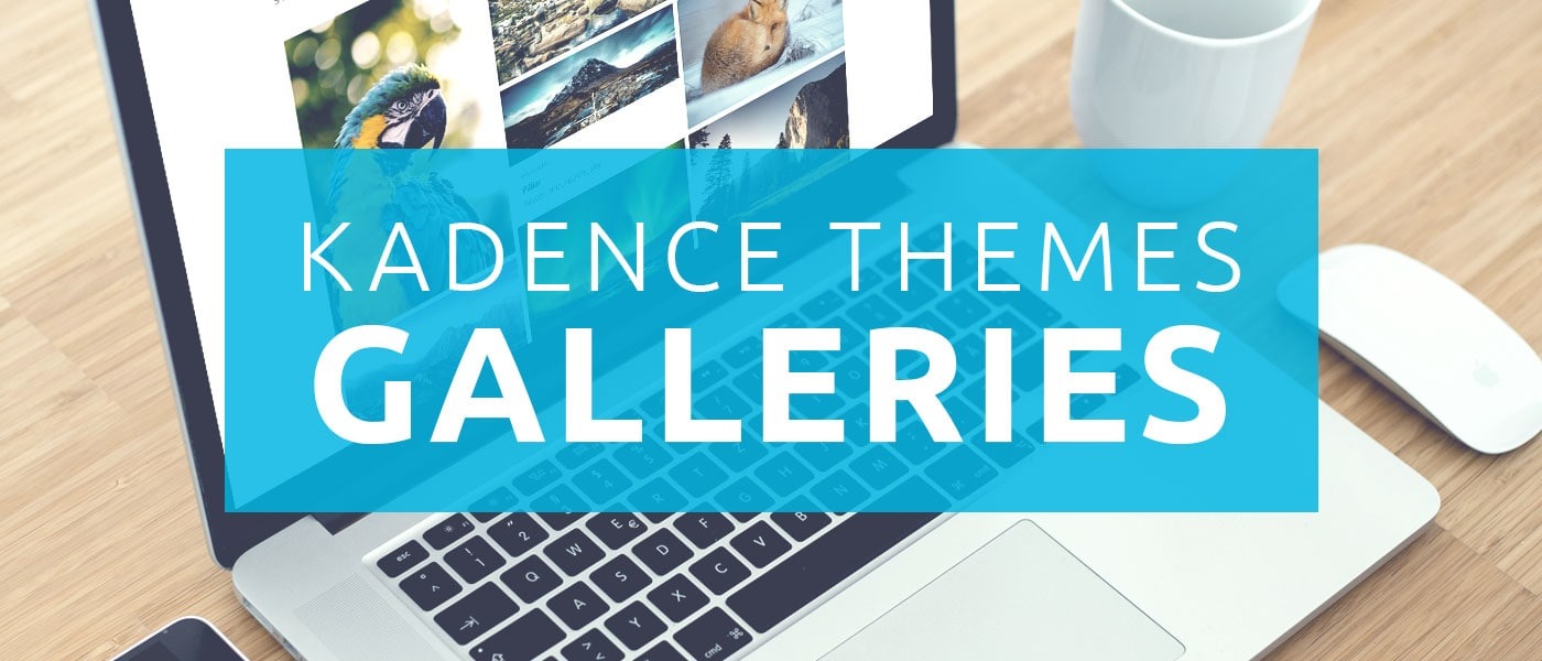 Kadence Galleries - Kadence Galleries v1.3.2 by Kadencewp Nulled Free Download